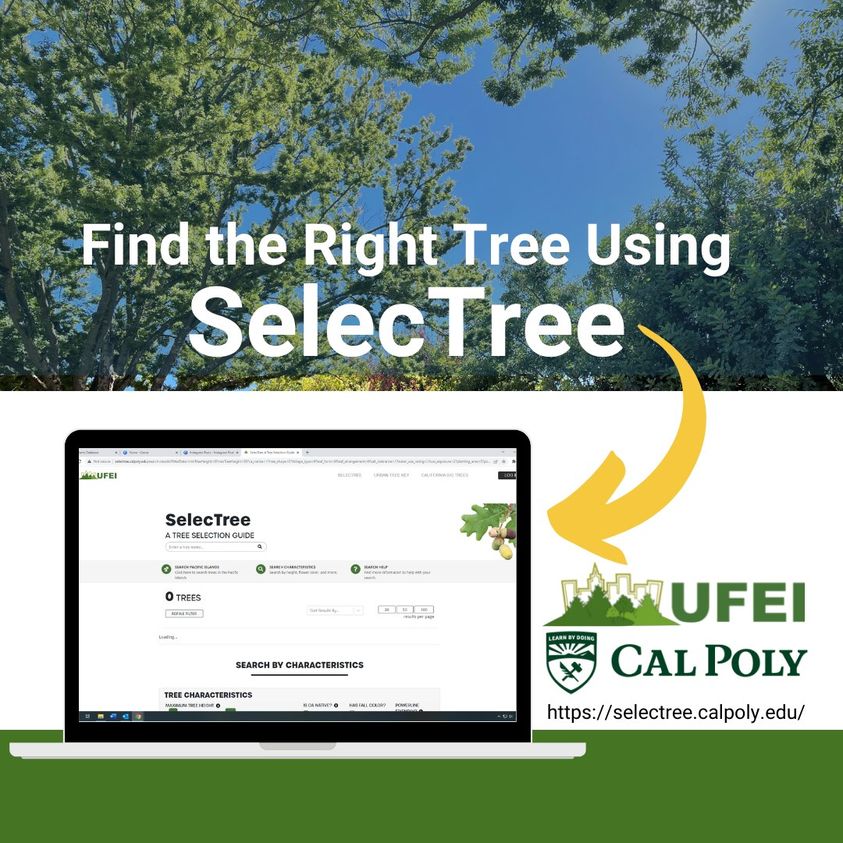 SelecTree CalPoly